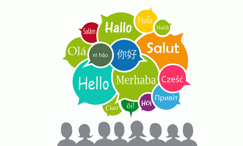 French and German courses