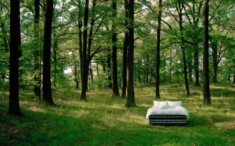 Hästens / Sleep Atelier